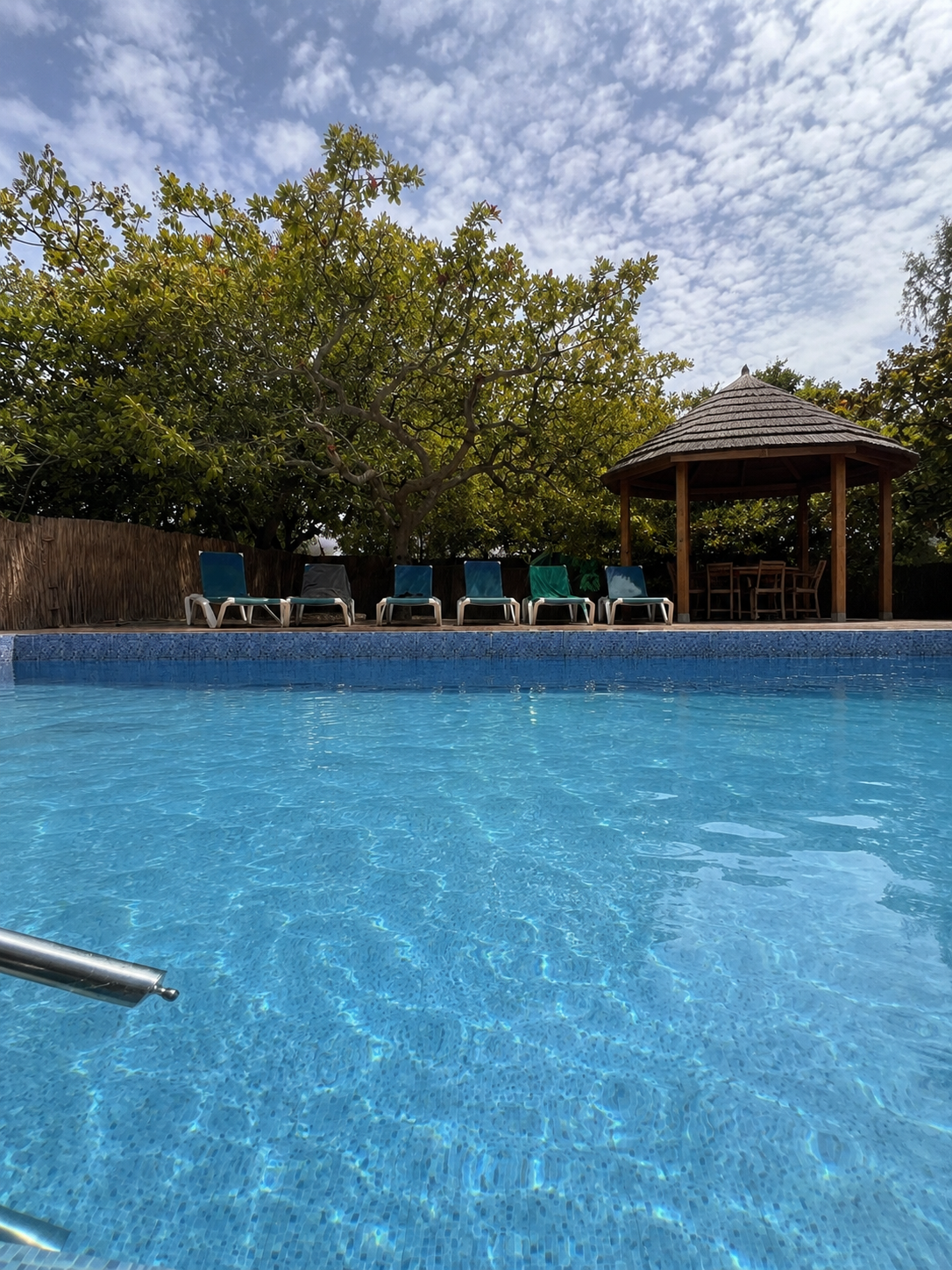Piscina de Chez Dominique en Missirah, Senegal, con tumbonas, árboles y zona de descanso exterior